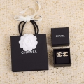Chanel AB9530 Earring Designer Jewelry CC31668