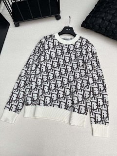 Dior Women’s Fashion Clothing Sweater D38581