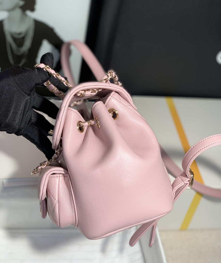 Chanel Backpack Duma Pink Lambskin CC AS2908 Gold