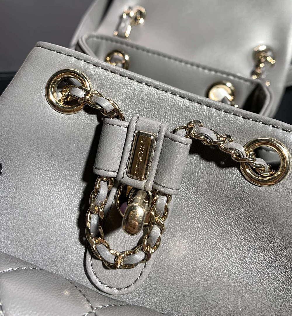 Chanel Backpack Duma Gray Lambskin CC AS2908 Gold