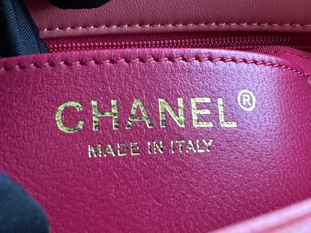 Chanel AS3986 Small Flap Bag Lambskin Plexi & Gold-Tone Meta Pink