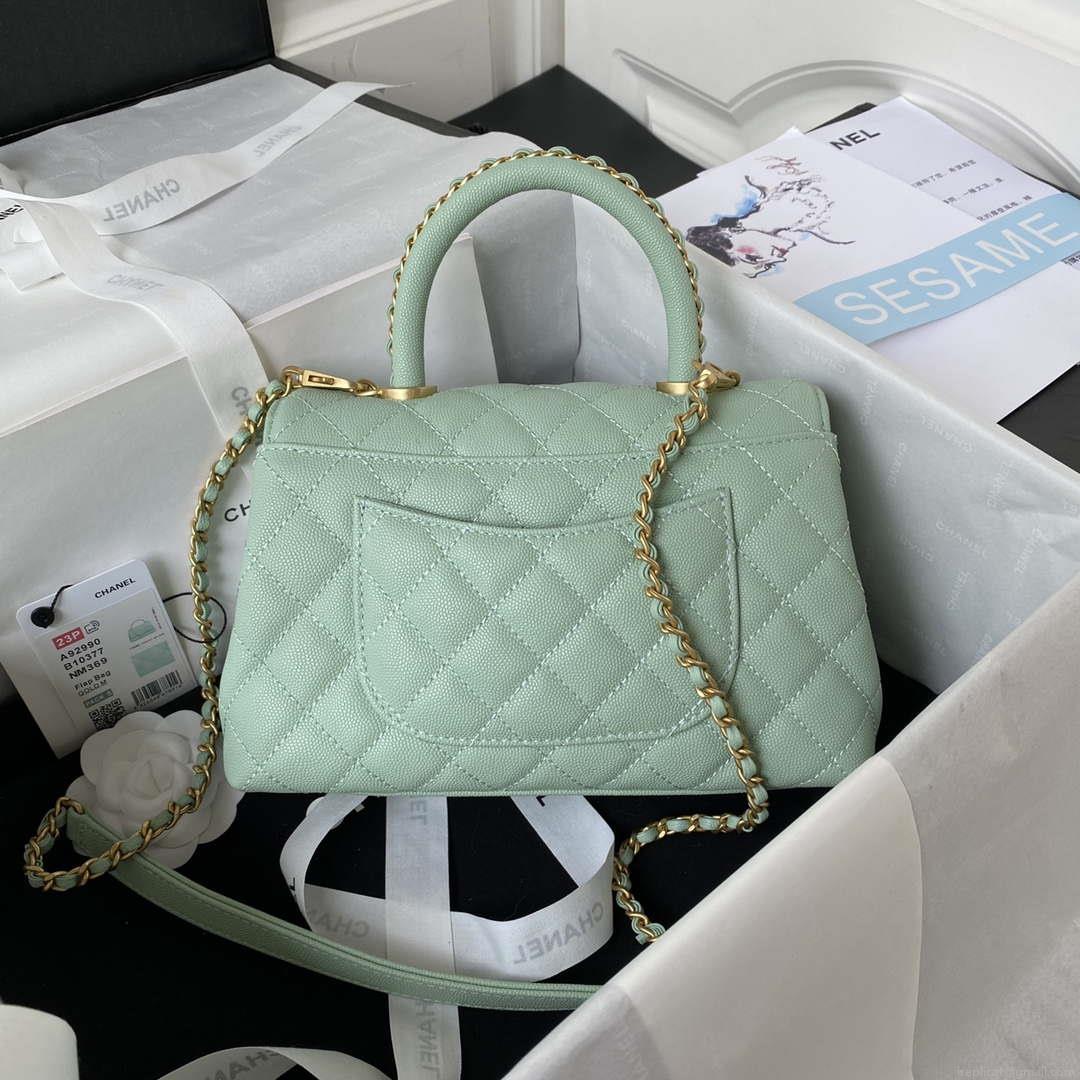 Chanel 23P Medium Flap Bag With Brown Top Handle Bag A92990 Green