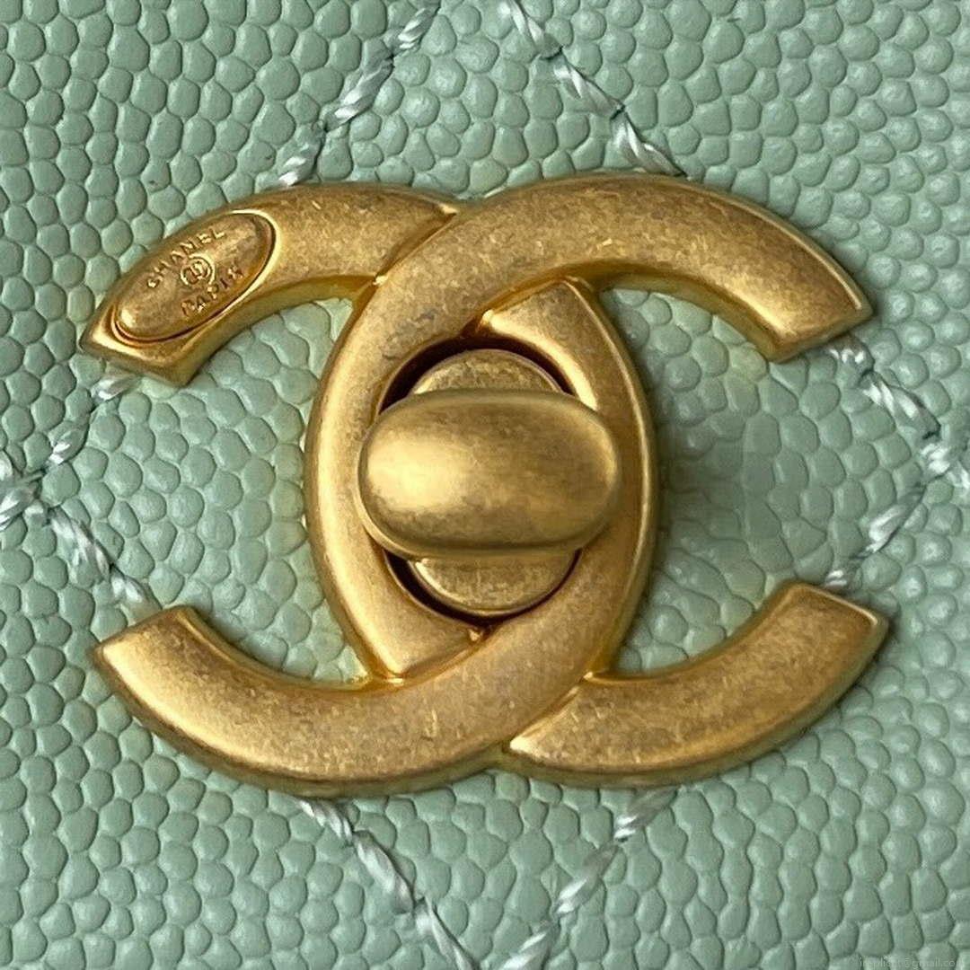Chanel 23P Medium Flap Bag With Brown Top Handle Bag A92990 Green