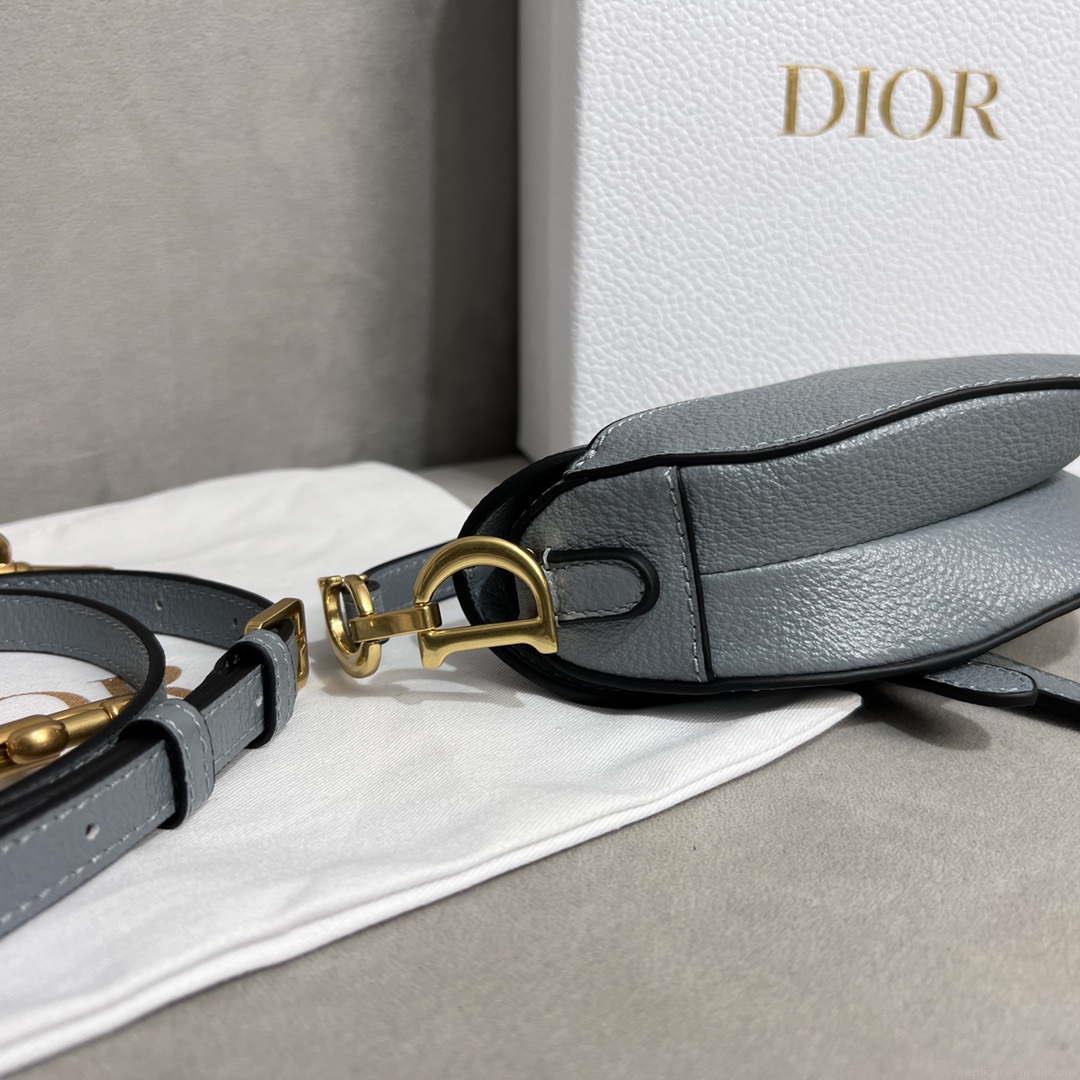 Dior S5685 Micro Saddle Bag With Strap Scarlet Gray Goatskin