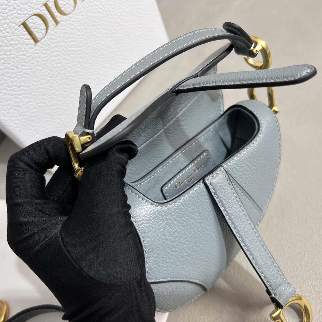 Dior S5685 Micro Saddle Bag With Strap Scarlet Gray Goatskin