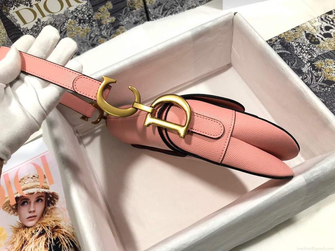 Dior M0446 Dior Saddle Bag M0447 Pink Goatskin