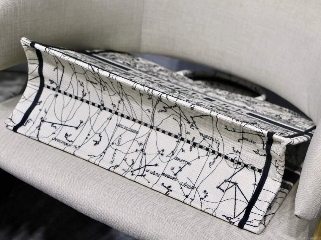 Dior M1286 Book Tote Latte Multicolor Dior Zodiac Embroidery Gray