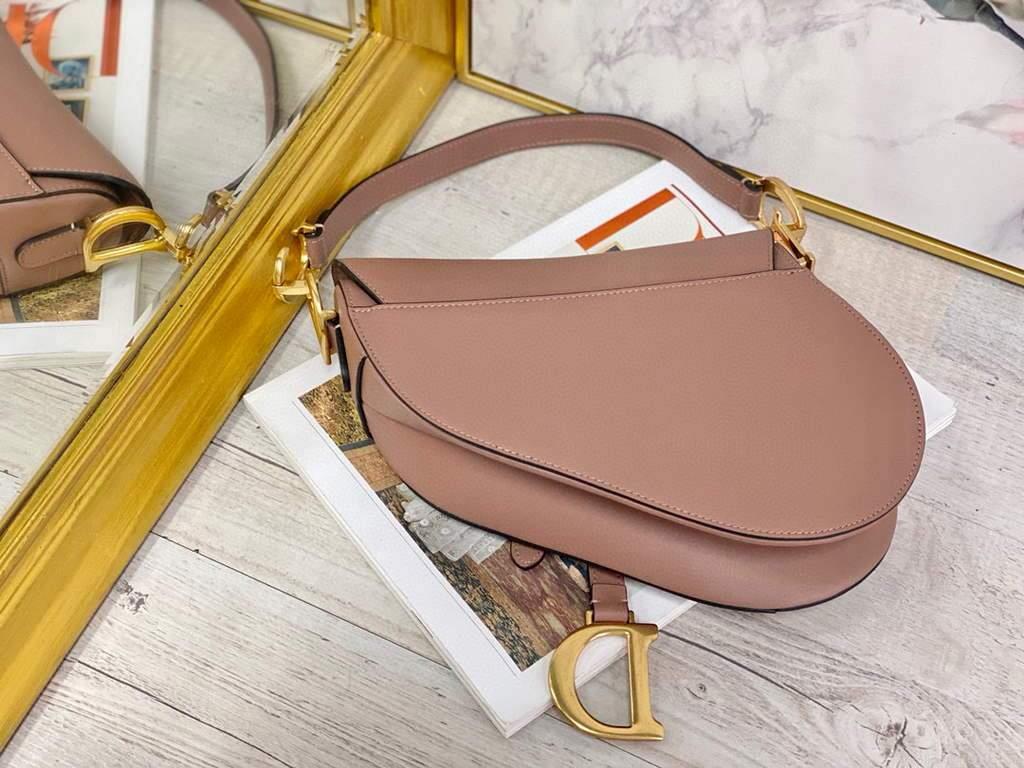 Dior M0446 Dior Saddle Bag M0447 Light Pink Goatskin Gold Hardware