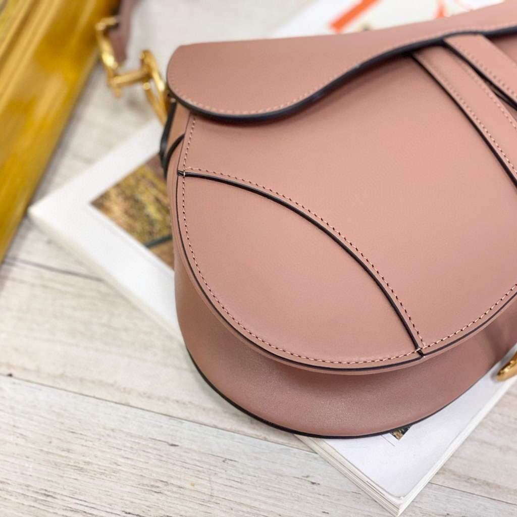 Dior M0446 Dior Saddle Bag M0447 Light Pink Goatskin Gold Hardware