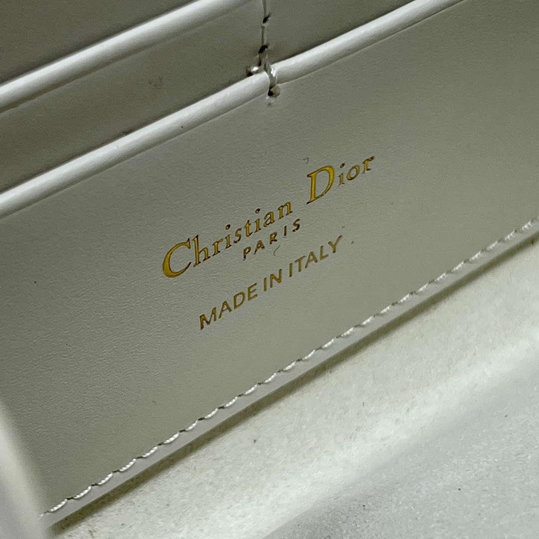 Dior S5703 Bobby EAST-WEST Pouch With Chain White Smooth Calfskin
