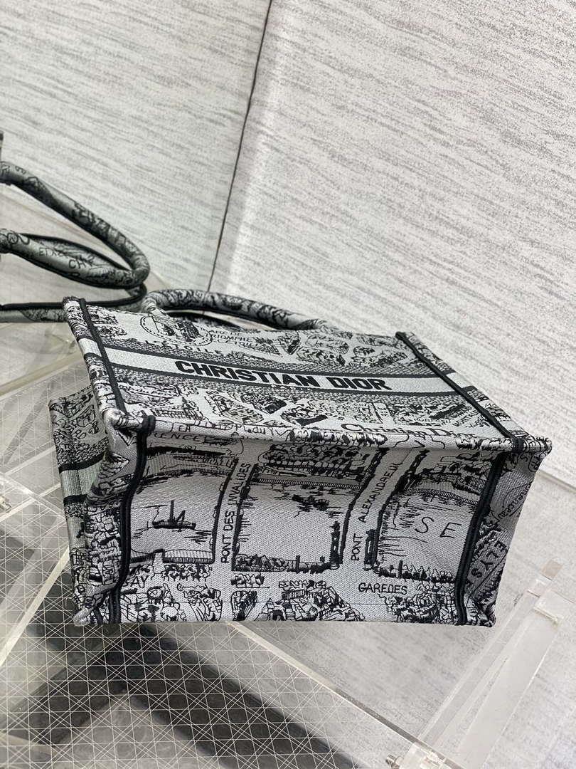 Dior M1265 Small Book Tote Gray and Black Plan de Paris Embroidery M9618