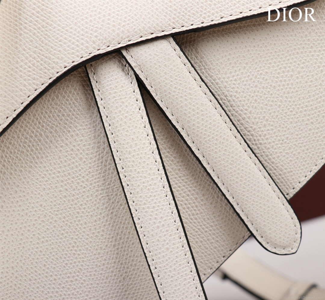 Dior M0456 Mini Saddle Bag With Strap White Grained Calfskin