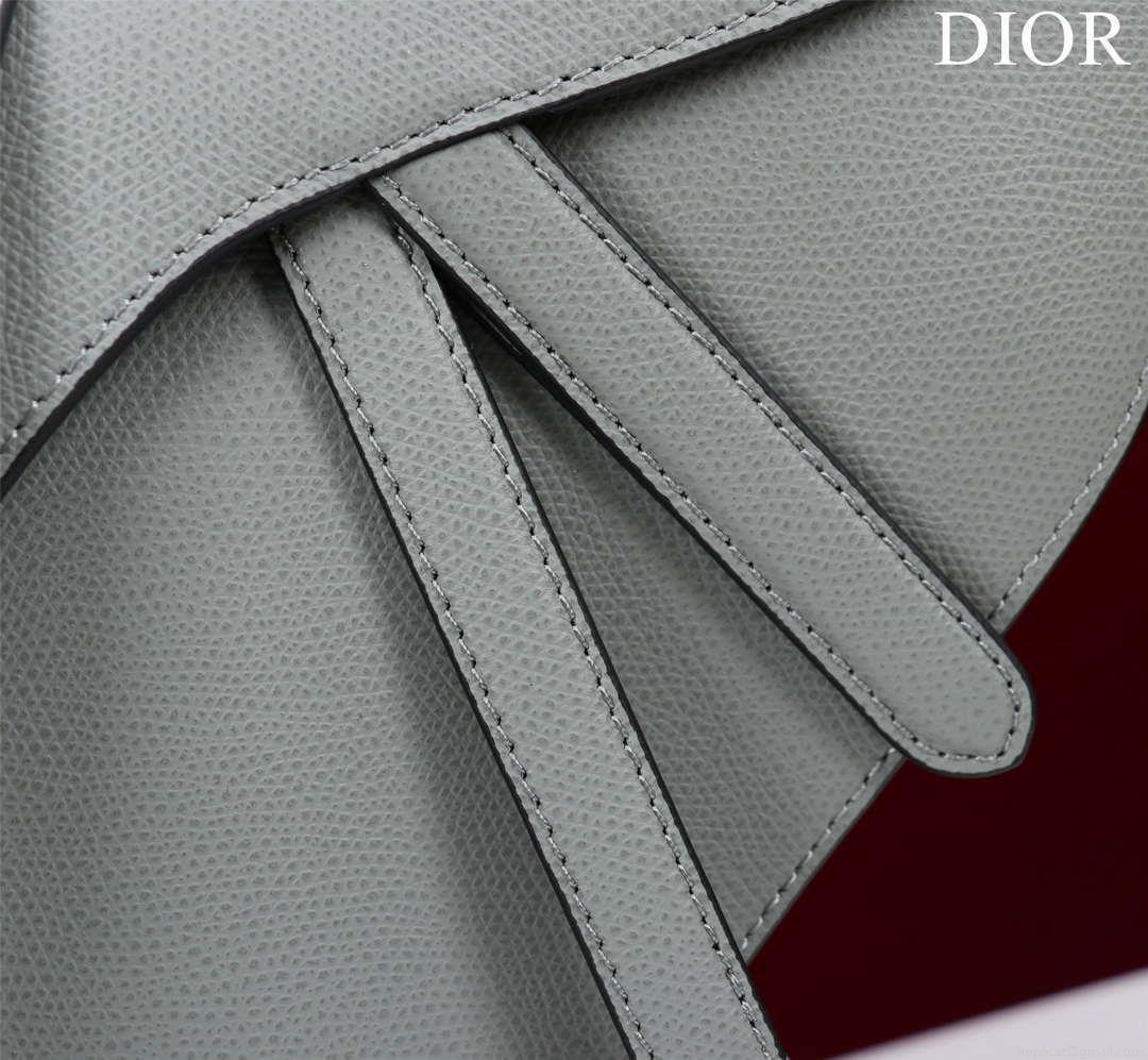 Dior M0456 Mini Saddle Bag With Strap Gray Grained Calfskin