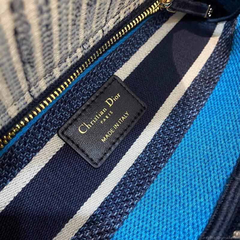 Dior M0565 Medium Lady D-lite Embroidery Bag Blue