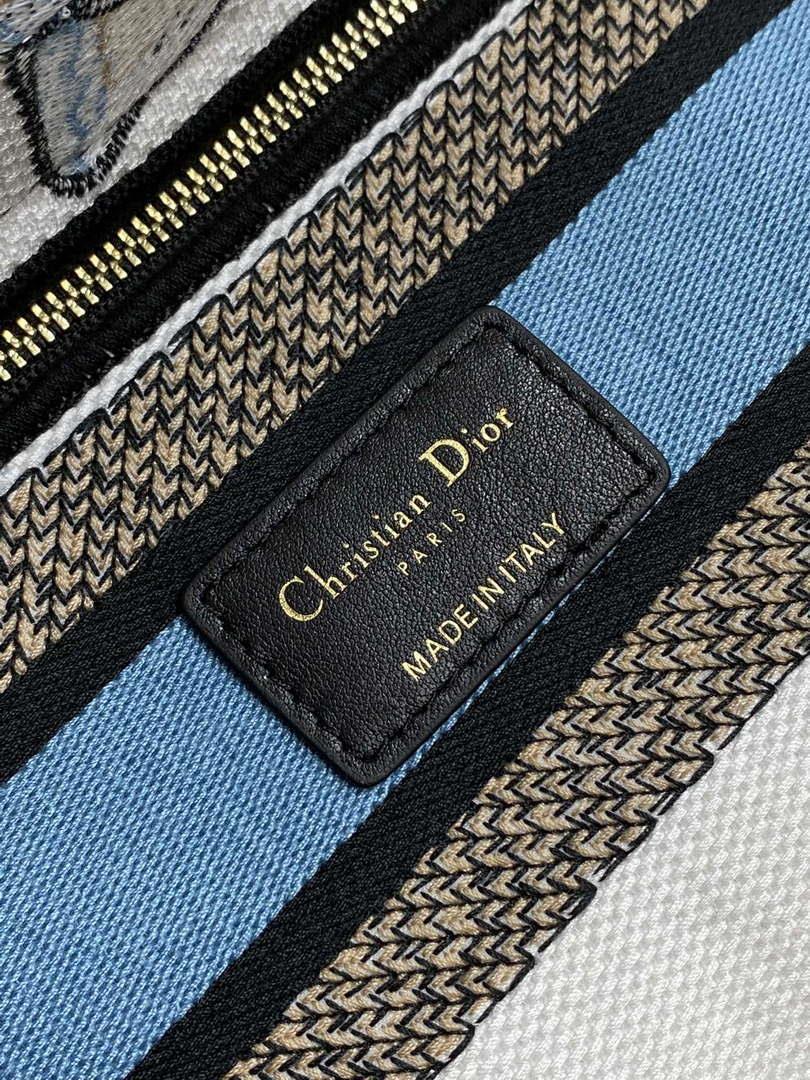 Dior M0565 Medium Lady D-Lite White and Pastel Midnight Blue Toile de Jouy Mexico M1039