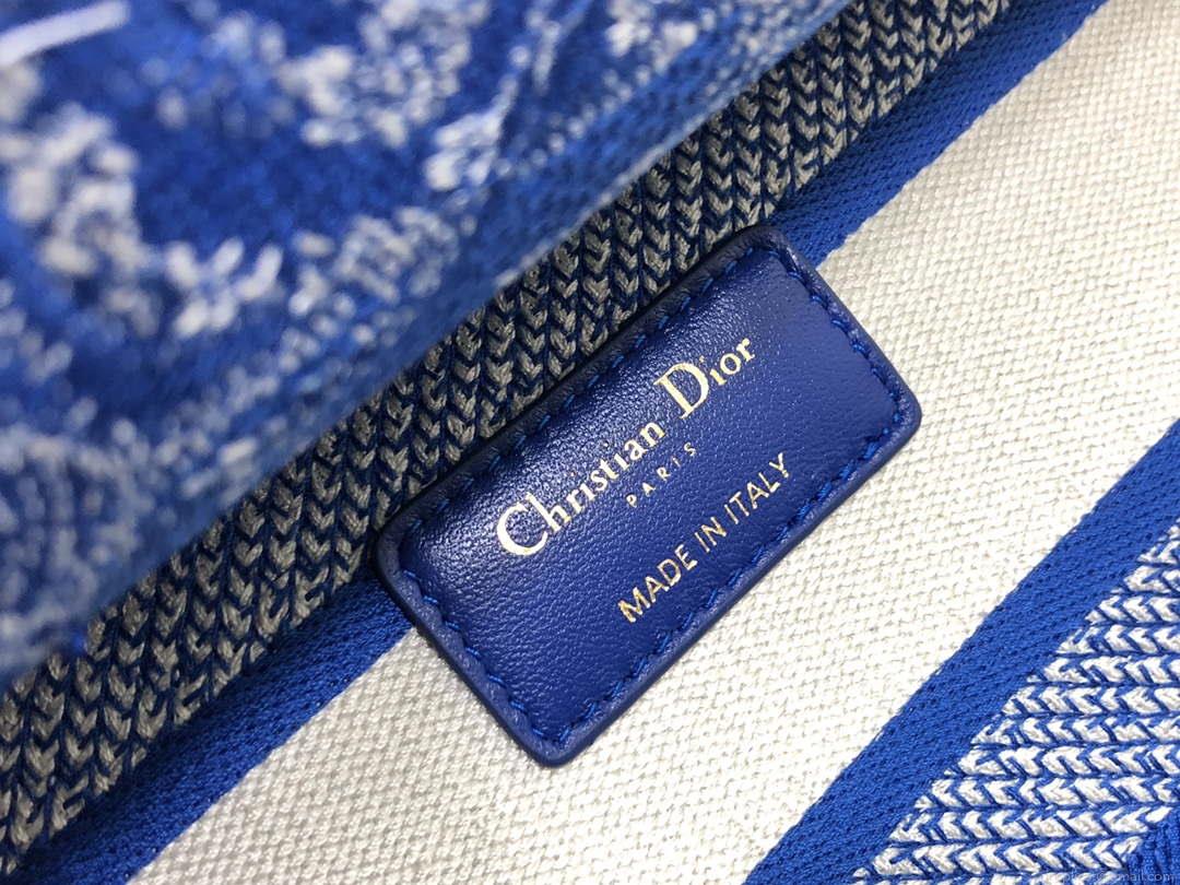 Dior M0566 Large Lady D-Lite Blue Toile de Jouy Embroidery M1053