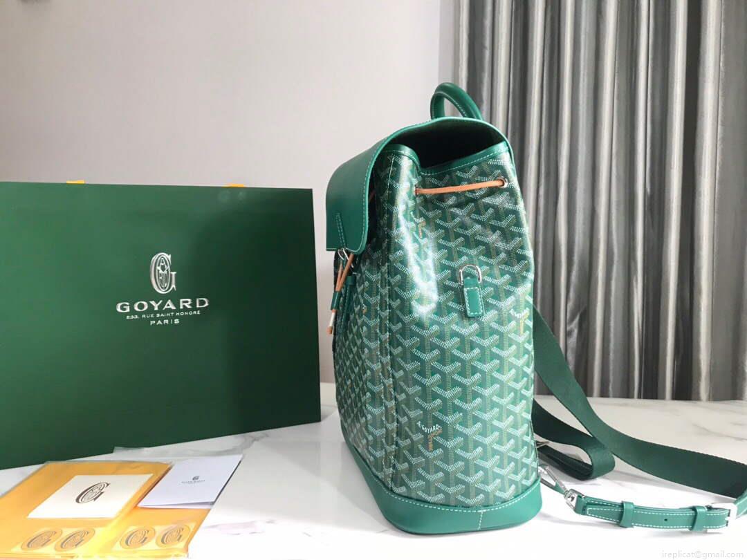 Goyard ALPIN2MMLTY Alpin MM Backpack Green