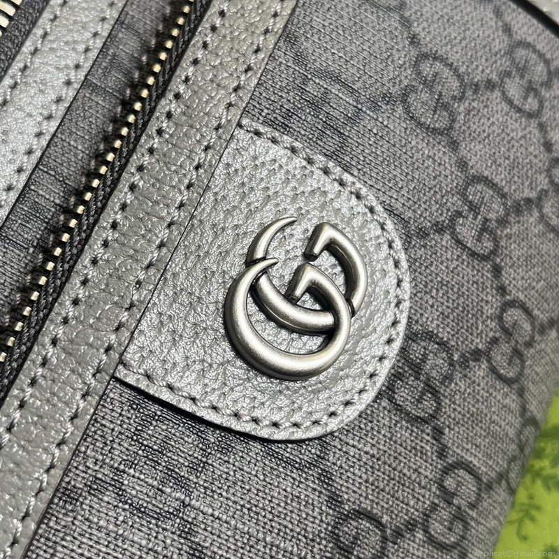 Gucci 733868 Ophidia Belt Bag Grey