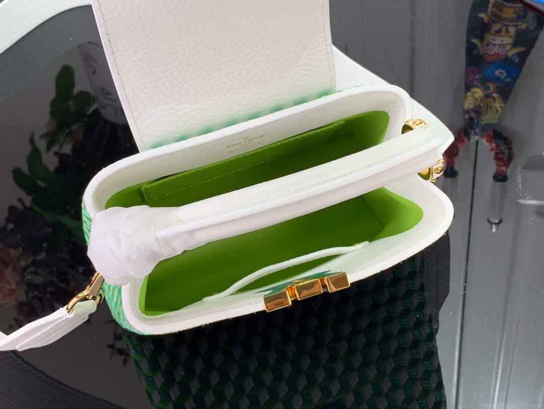 LV M59879 Louis Vuitton capucines mini Bag White Green