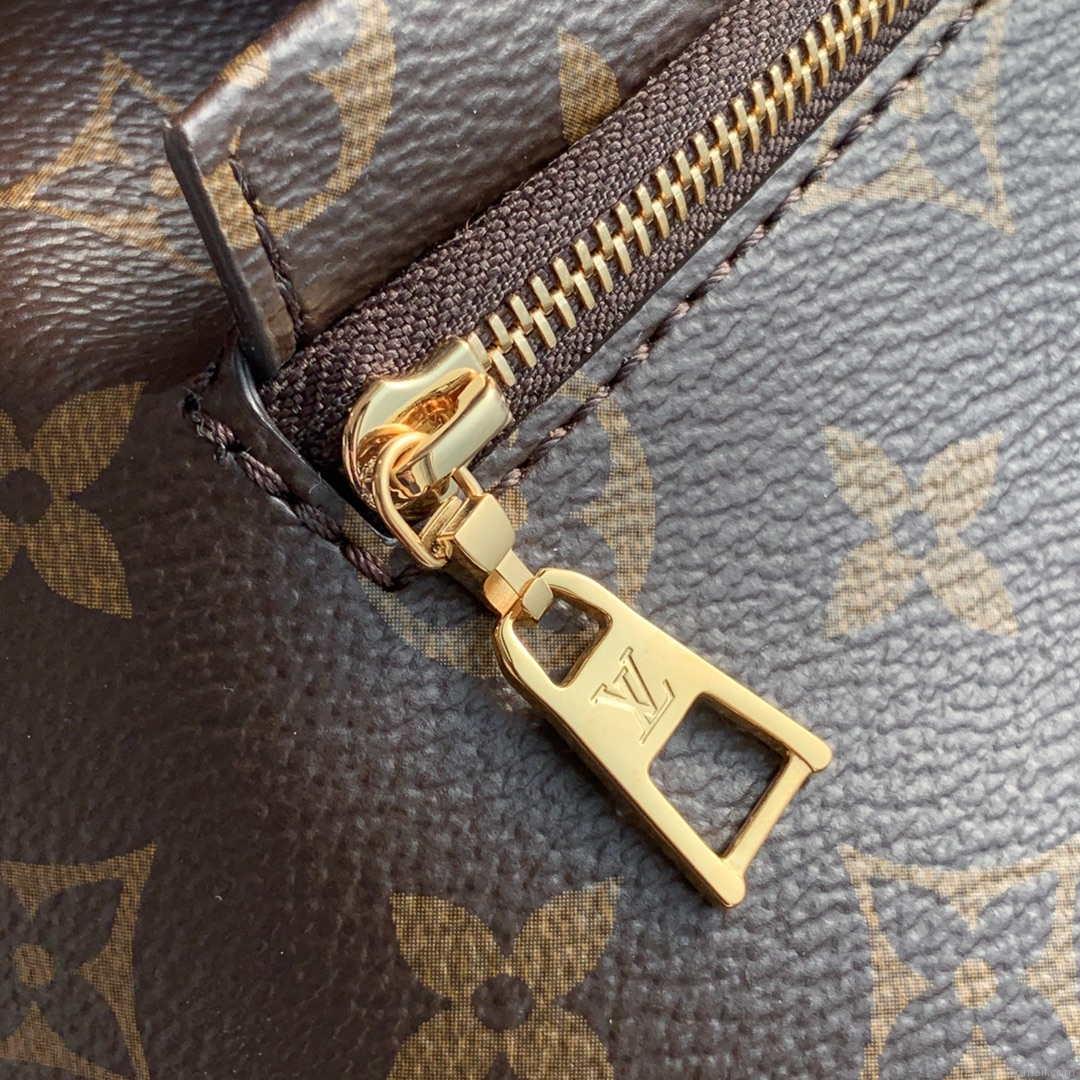 Louis Vuitton LV M45501 Montsouris PM monogram anvas natural leather