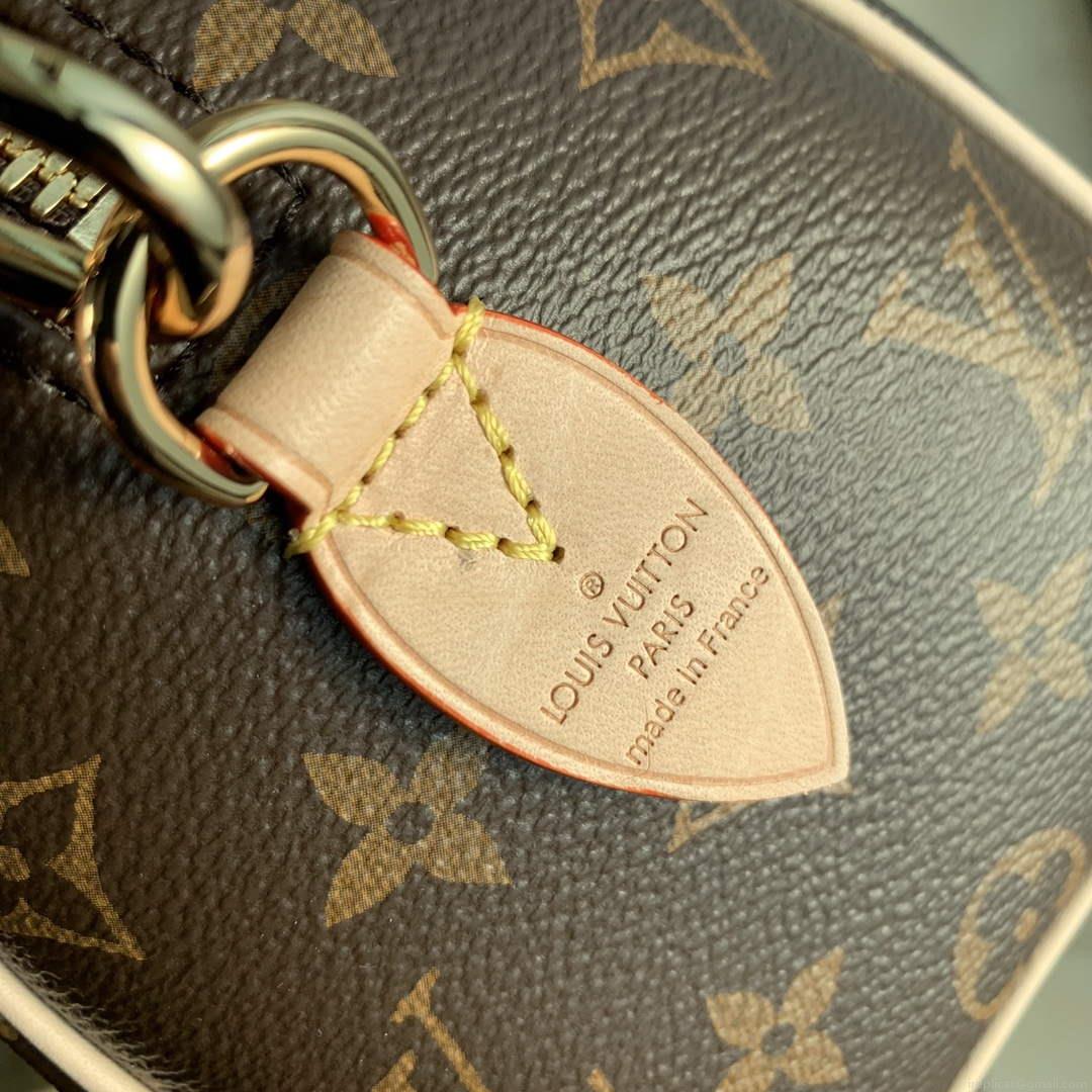 LV M46234 Louis Vuitton Speedy Bandoulière 20 Black