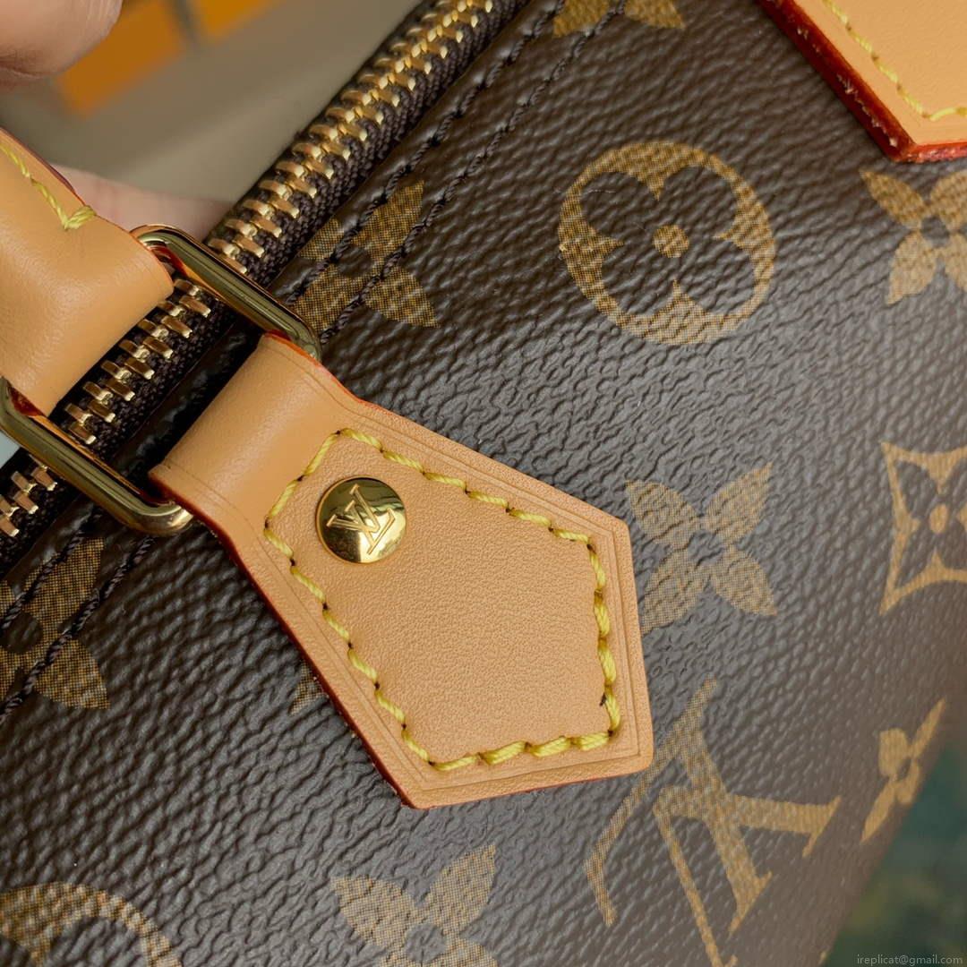 LV M81085 Louis Vuitton Nano Speedy Bag