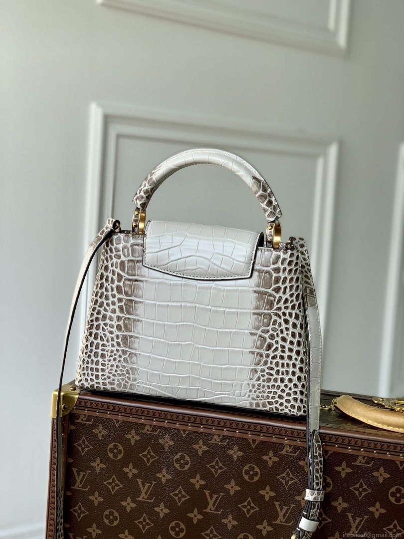LV M48865 Louis Vuitton Capucines BB Handbag Himalayas