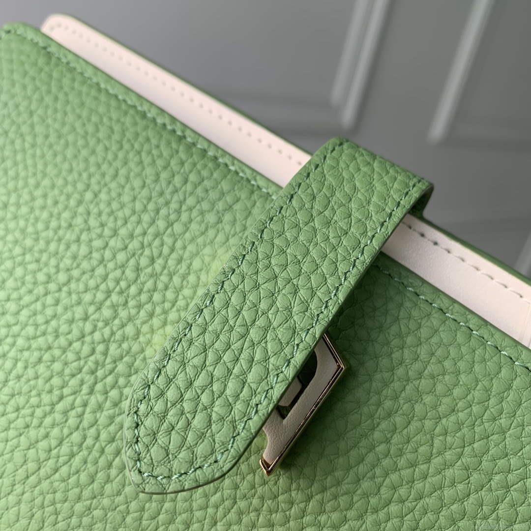 LV M82512 Louis Vuitton LV Vertical Wallet Vert Noto Green