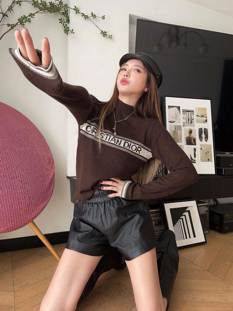 Dior Women’s Fashion Clothing Sweater D38575